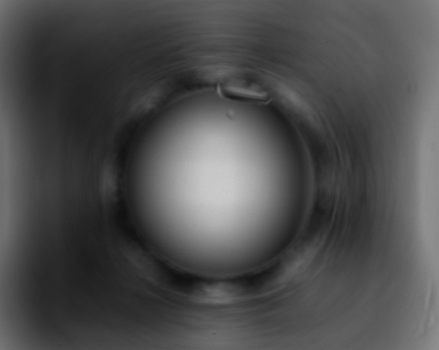 X0000092240268200709211049