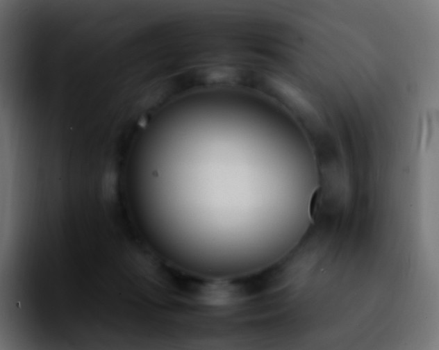 X0000092240269200709211049