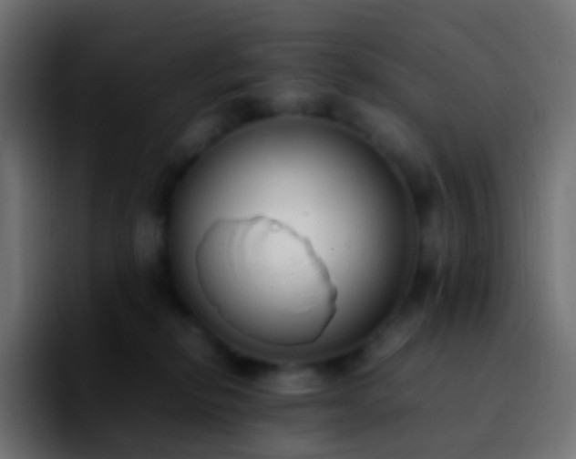 X0000092240278200709211049