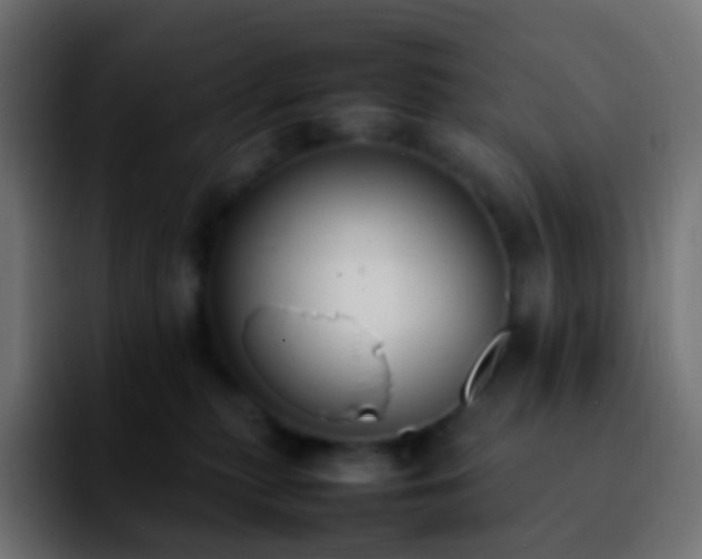 X0000092240279200709211049