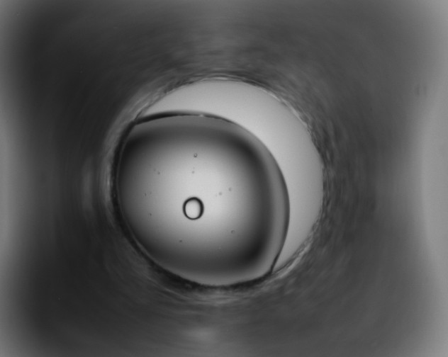 X0000092240293200709211048
