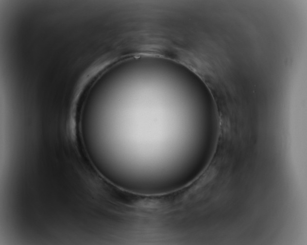 X0000092240294200709211048