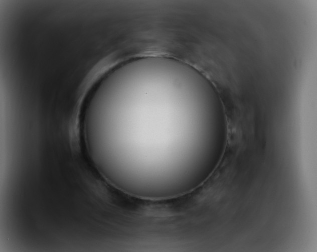 X0000092240296200709211048
