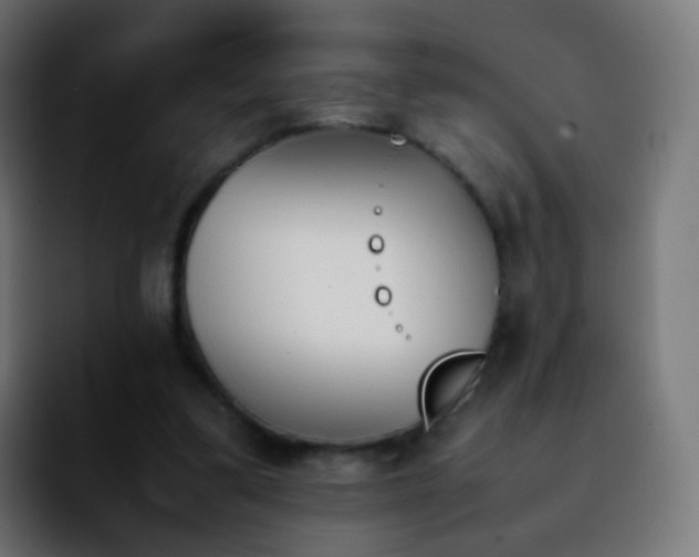 X0000092240299200709211048