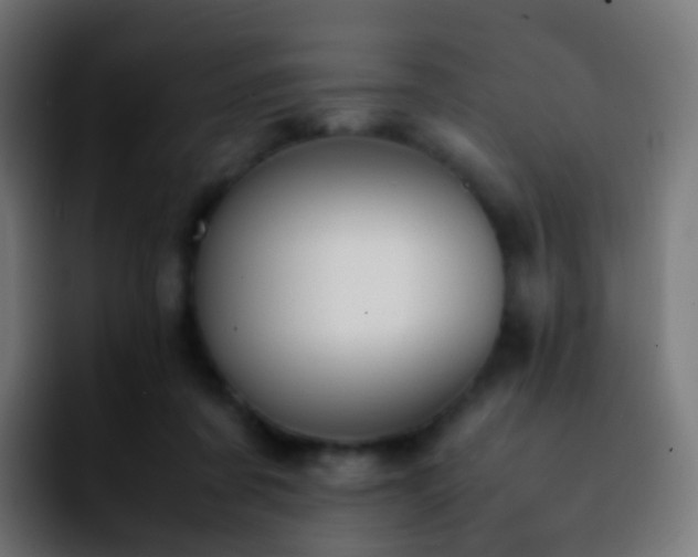 X0000092240311200709211048