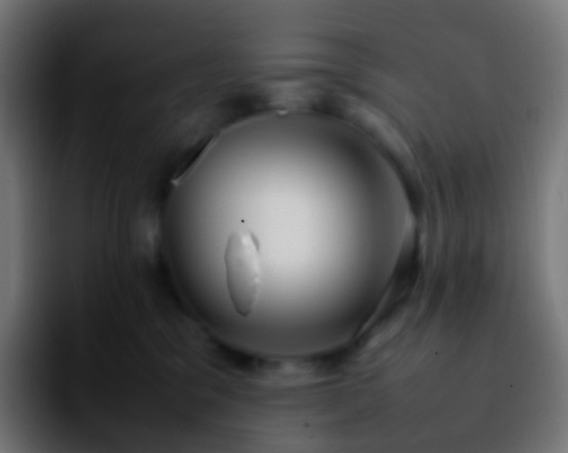 X0000092240329200709211048