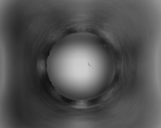 X0000092240335200709211048
