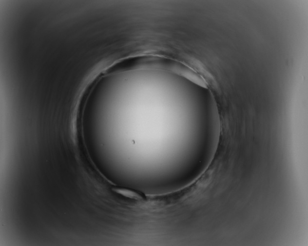 X0000092240340200709211047