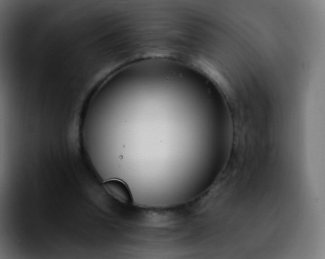 X0000092240346200709211047