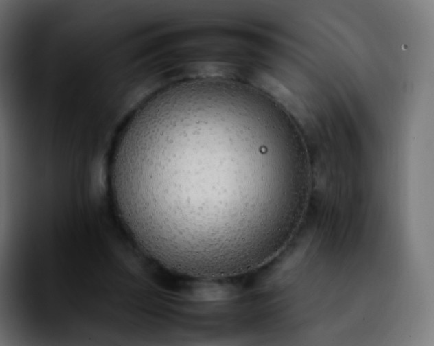 X0000092240347200709211047