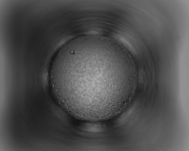 X0000092240351200709211047