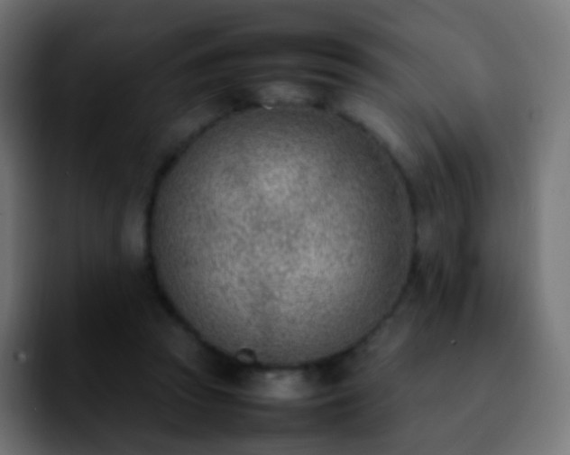 X0000092240353200709211047