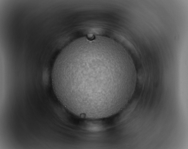 X0000092240359200709211047