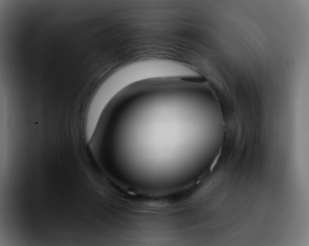 X0000092240360200709211047