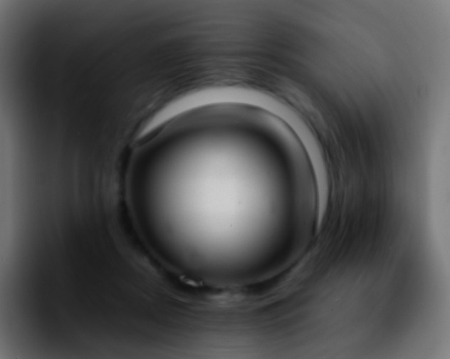 X0000092240362200709211047