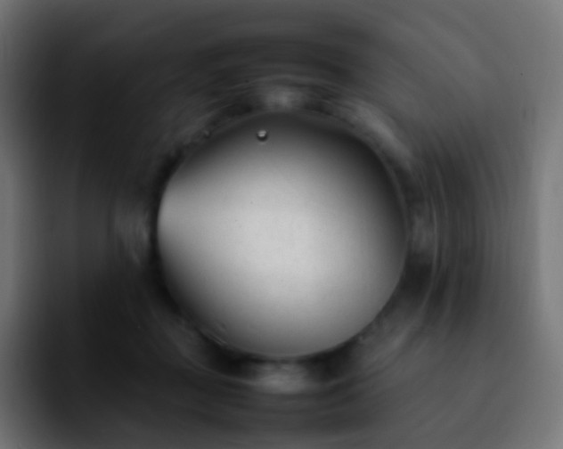 X0000092240363200709211047