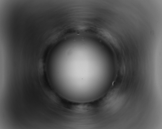 X0000092240366200709211048
