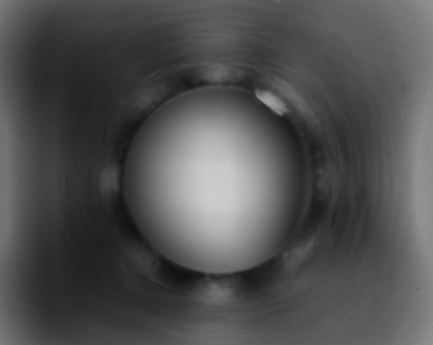 X0000092240368200709211048
