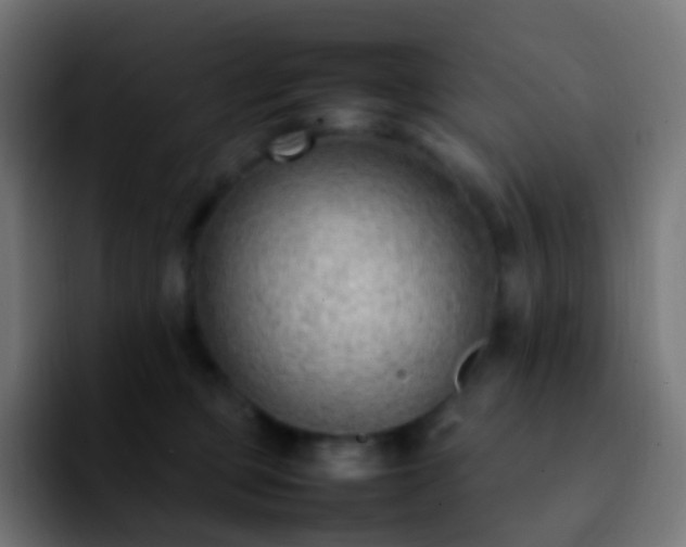 X0000092240373200709211048