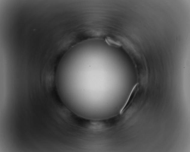 X0000092240376200709211048