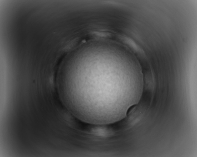 X0000092240377200709211048
