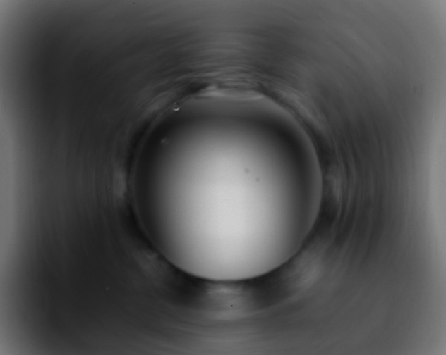 X0000092240380200709211048