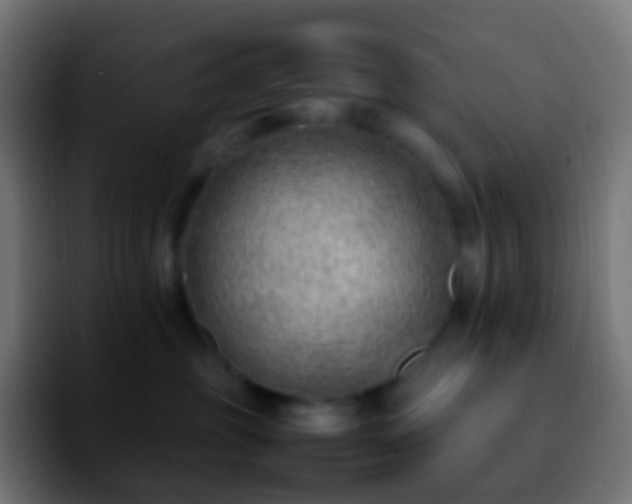 X0000092240381200709211048
