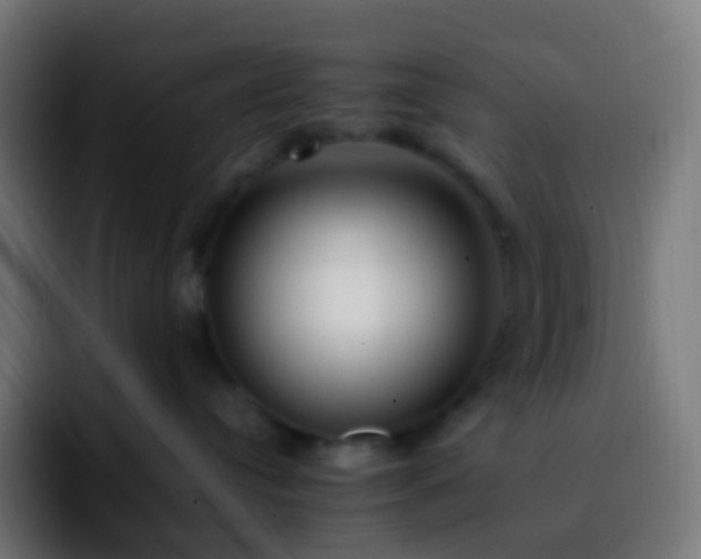 X0000092240384200709211048