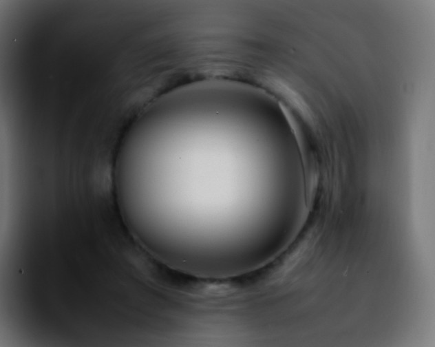 X0000092240401200709211047