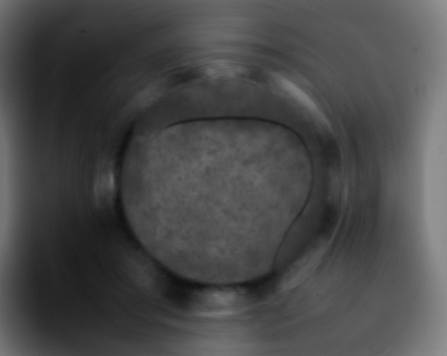 X0000092240405200709211047