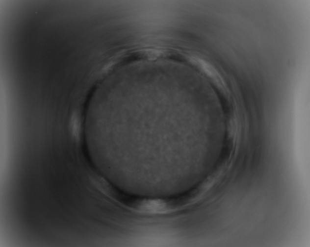 X0000092240409200709211047