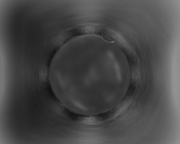 X0000092240411200709211047