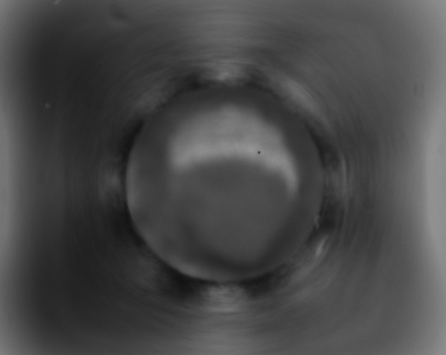 X0000092240415200709211047
