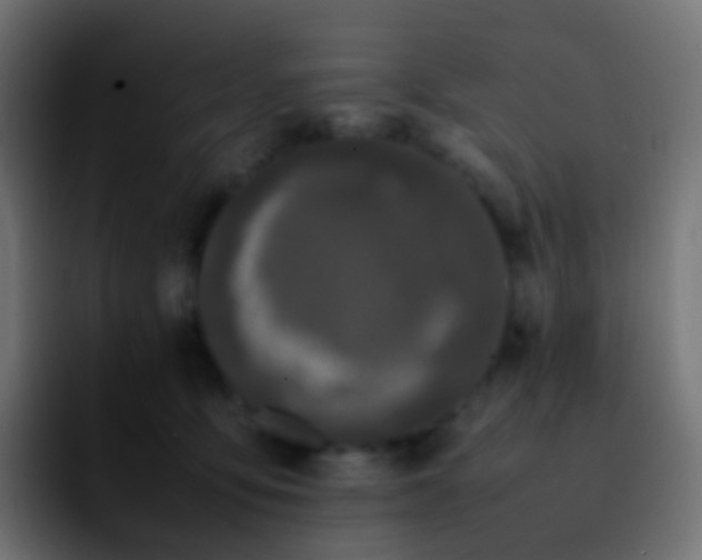 X0000092240419200709211047