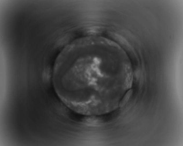 X0000092240423200709211047