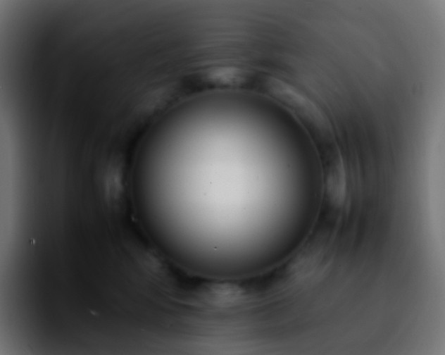 X0000092240424200709211047