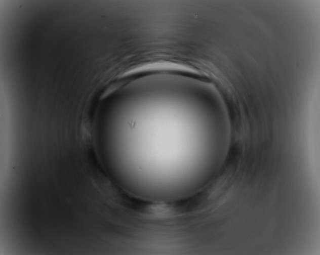 X0000092240425200709211047