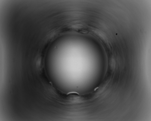 X0000092240428200709211047