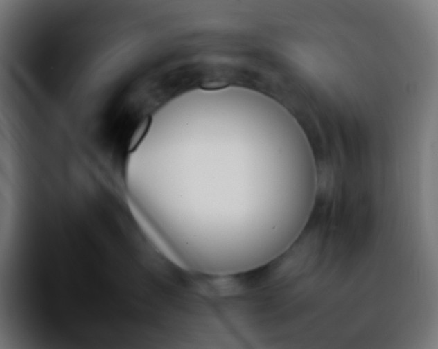 X0000092240431200709211047