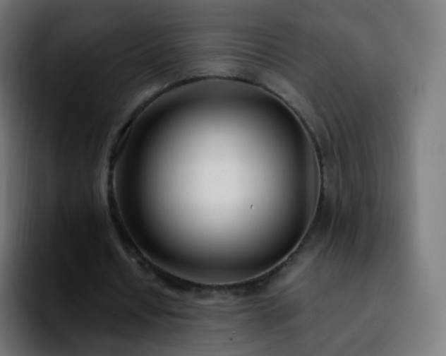 X0000092240434200709211046