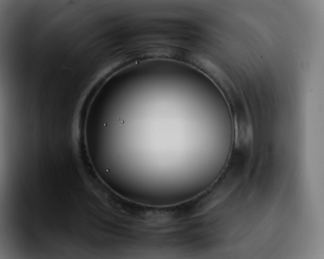 X0000092240435200709211046