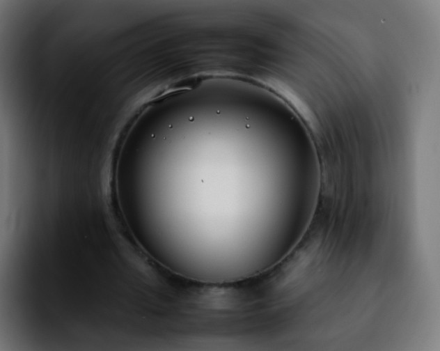 X0000092240437200709211046