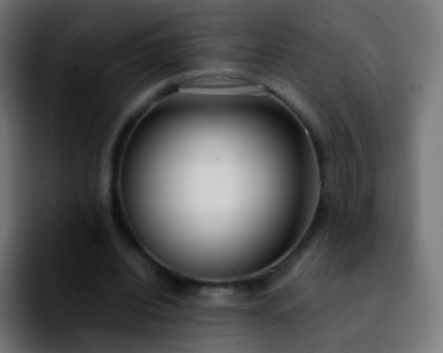 X0000092240440200709211046