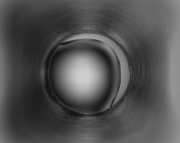 X0000092240444200709211046