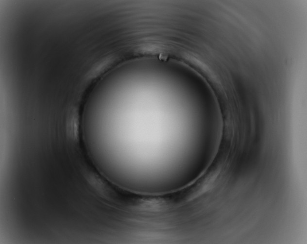 X0000092240446200709211046
