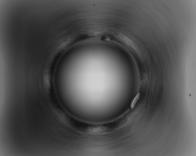 X0000092240452200709211046