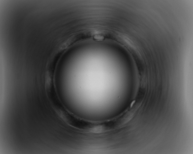 X0000092240456200709211046