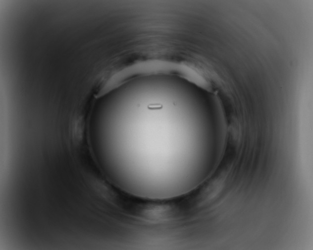 X0000092240458200709211046