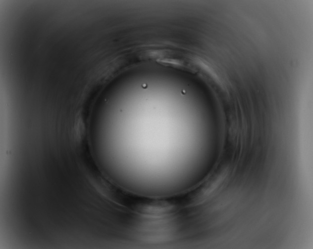 X0000092240459200709211046