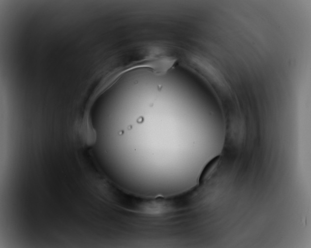 X0000092240461200709211046